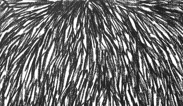 BD02_web
